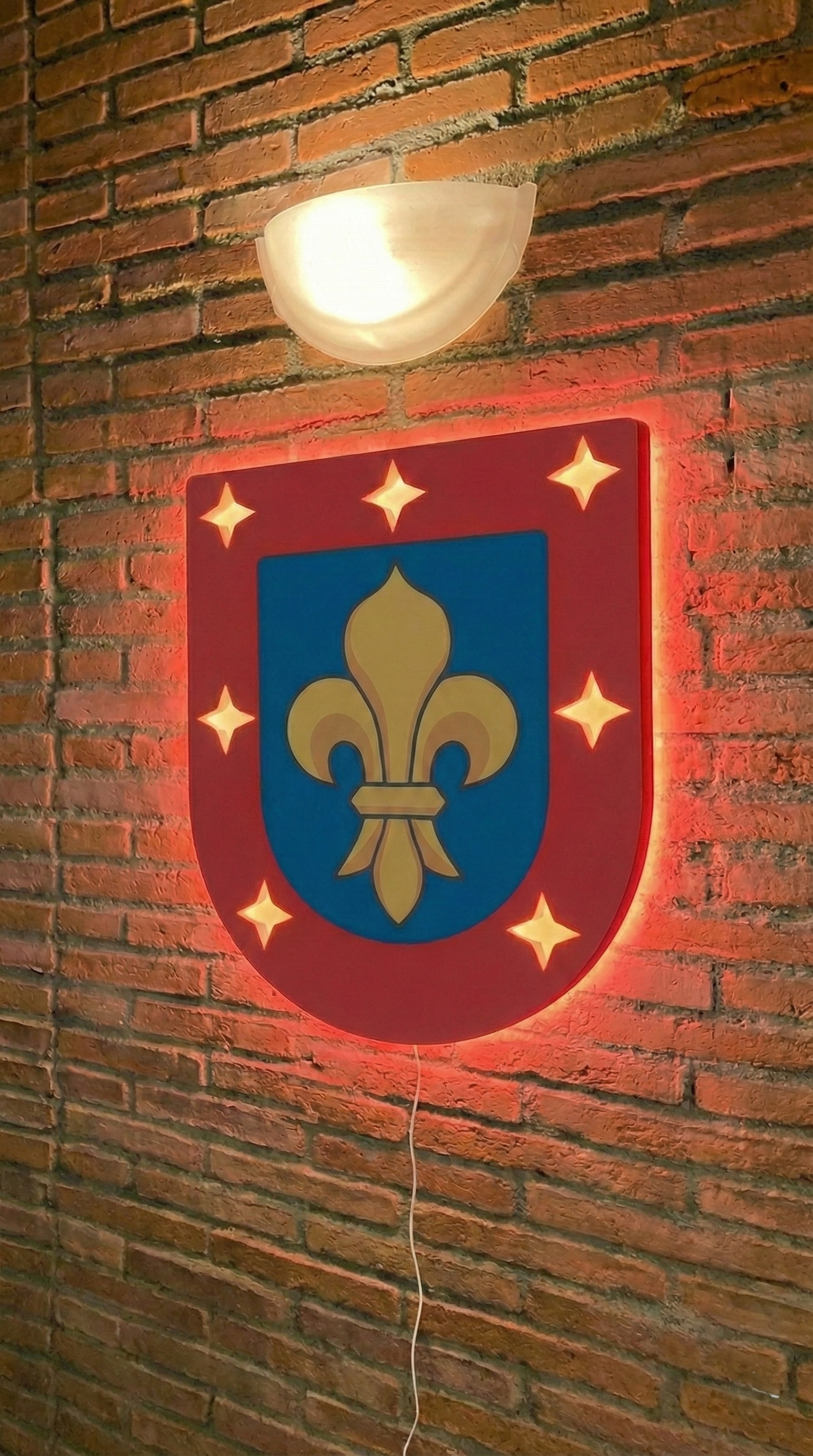 Cuadro Neón Escarapela MADOC | Wall Art Militar